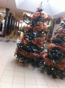 Noël au centre d'achats 1456712_225747090919152_2111365170_n