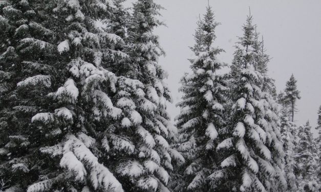 Que le froid arrive