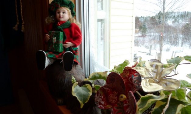 En guise de conte de Noël