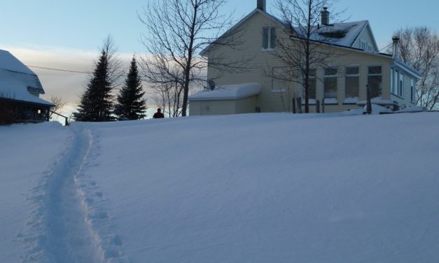 La vie fabuleuse de Charles Magnan