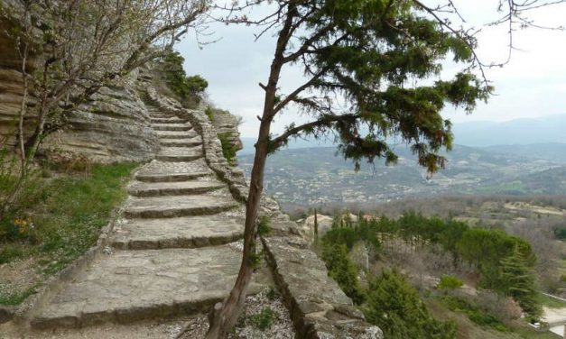 France : déroute de la gauche aux élections municipales et développement local
