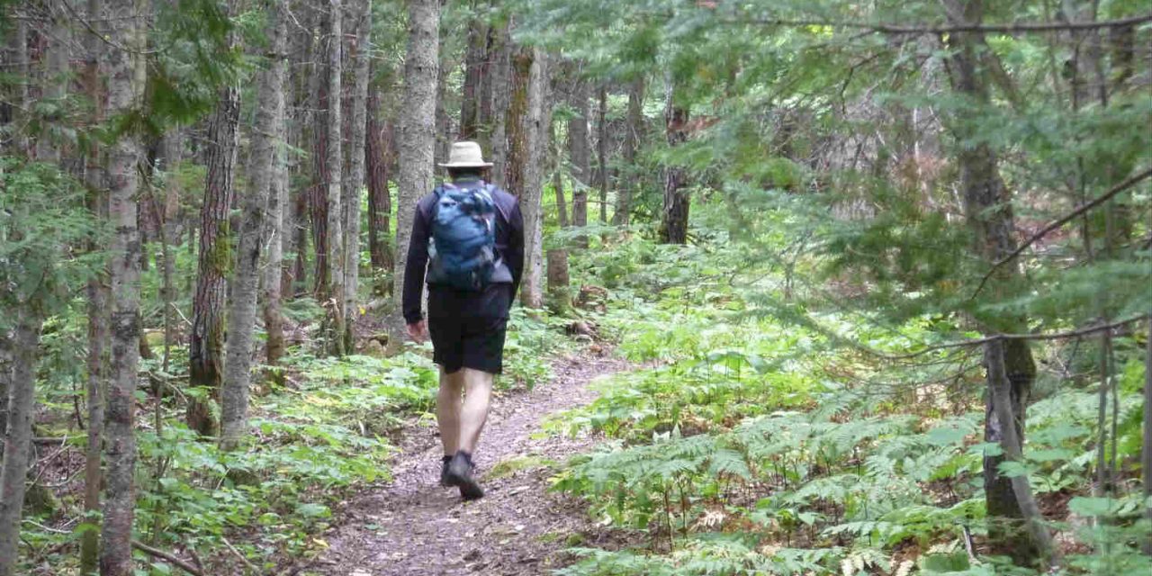 Les PNR français : des expériences stimulantes pour le Québec rural