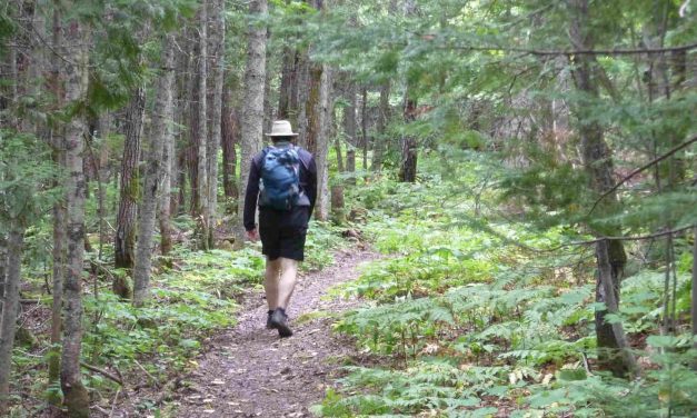 Les PNR français : des expériences stimulantes pour le Québec rural