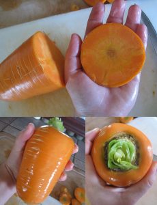 carottes geantes