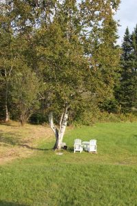 10723075_10154759903925354_358801736_n