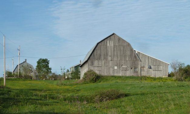 Et si les régions et les espaces ruraux étaient l’avenir des métropoles ?