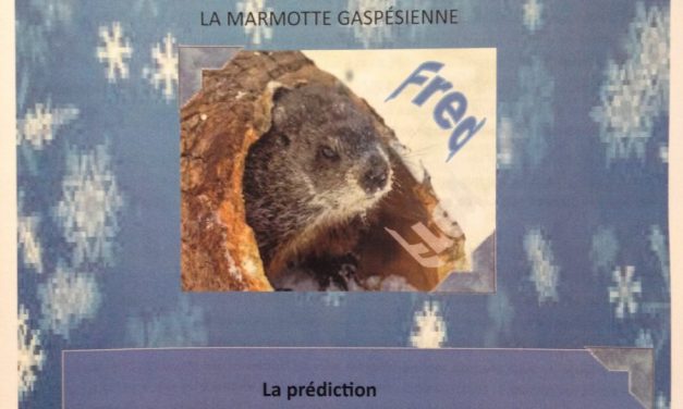 L’art de gaffer en région