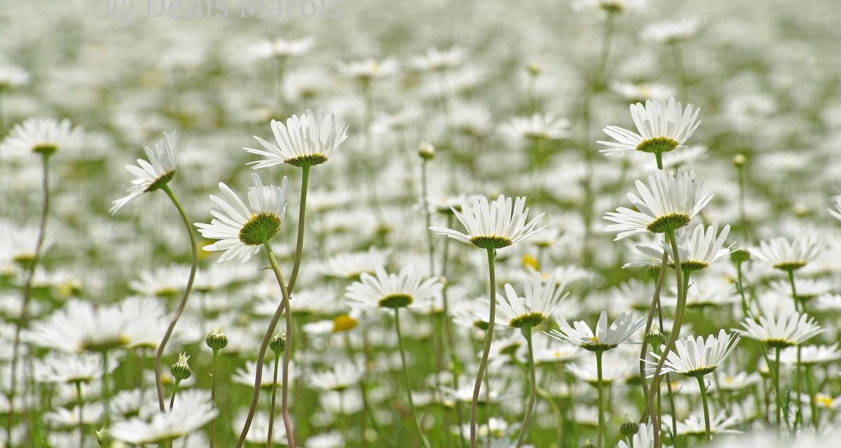 J’ai été hypocrite et j’ai frappé un mur