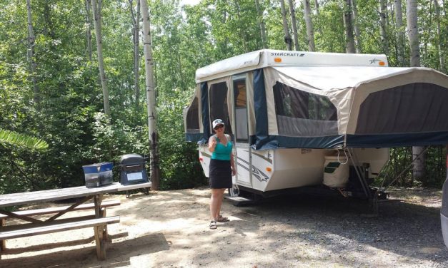 Pas de macho dans ma tente-roulotte