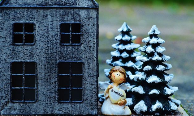 Un déménagement pour Noël