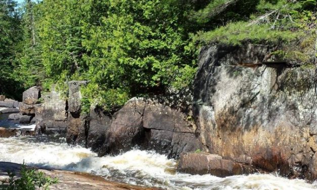 Une île déserte SVP !