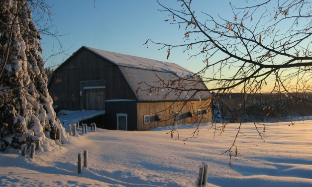 Pour un nouveau regard sur la ruralité, 140 caractères à la fois, 4e partie