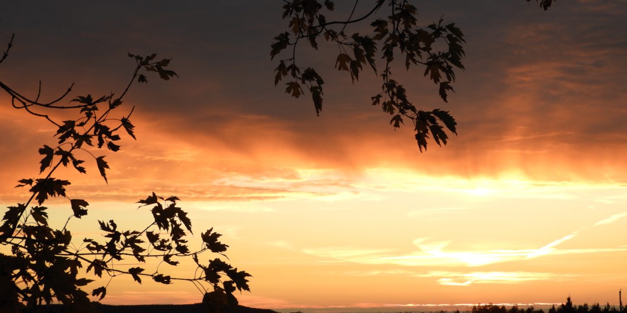 Les régions à l’ère Couillard : abandon et grande mystification